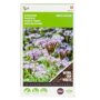 Buzzy® Groenbemester Phacelia tanacetifolia voorkant